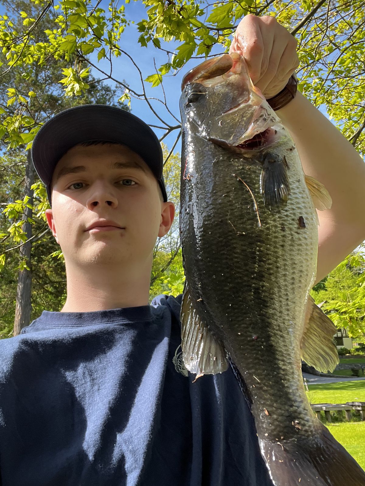 A largemouth bass held up by the lower jaw